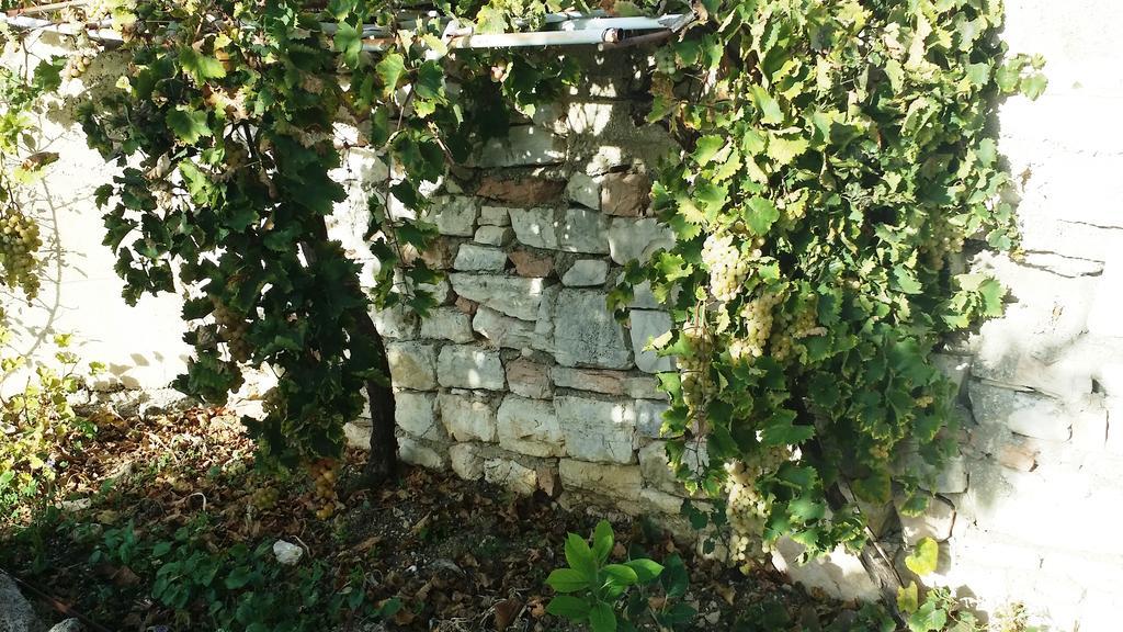 Апартаменты Sole E Fiori Di Sicilia Вальдериче Экстерьер фото