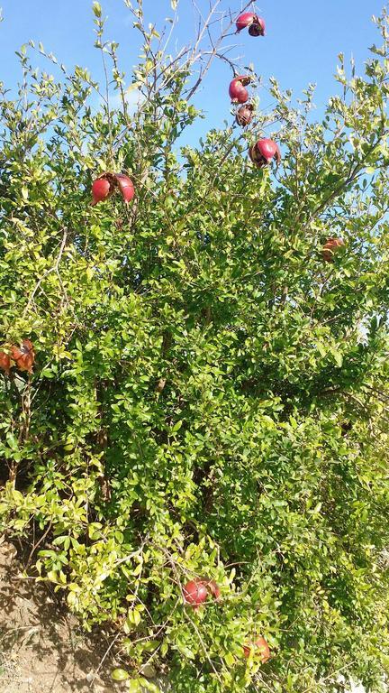 Апартаменты Sole E Fiori Di Sicilia Вальдериче Экстерьер фото