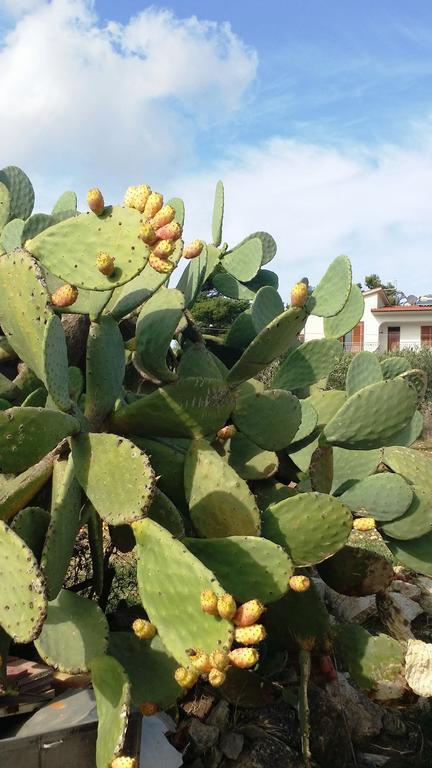Апартаменты Sole E Fiori Di Sicilia Вальдериче Экстерьер фото
